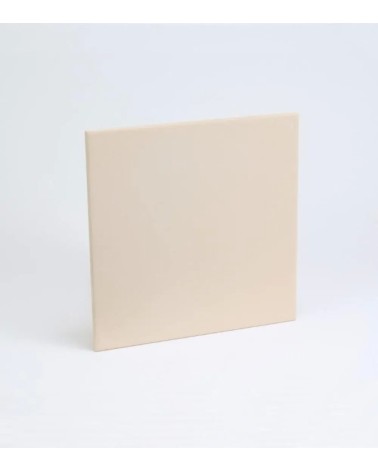 TILE BISQUE 200X200X7 MM - 44 UNI.