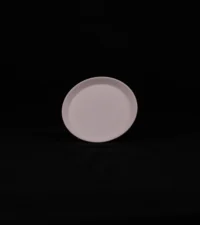ASSIETTE EN BISCUIT DE GRÉS – Nº 109