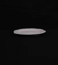PIATTO BISCOTTO CERAMICO GRES - Nº 141